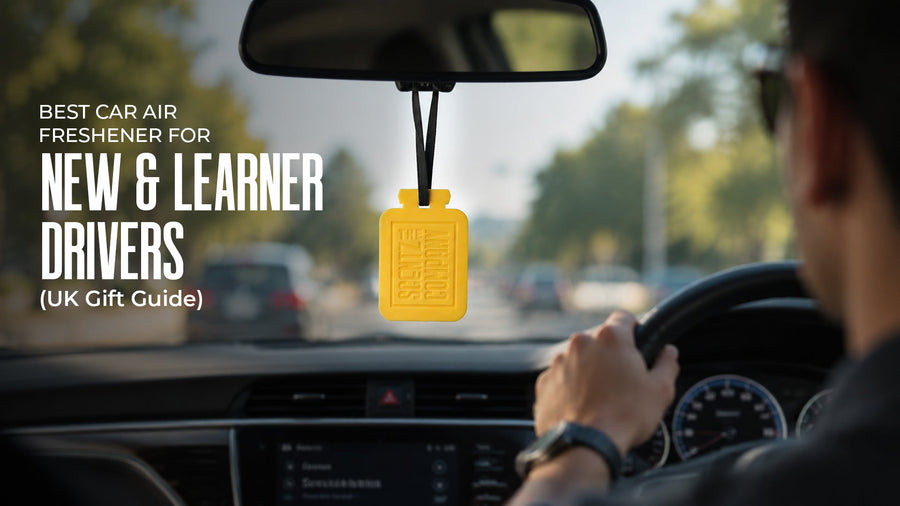 Best Car Air Freshener Gifts for New & Learner Drivers