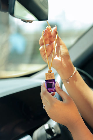 Premium Car Air Freshener Diffusers - Hanging Diffuser Collection