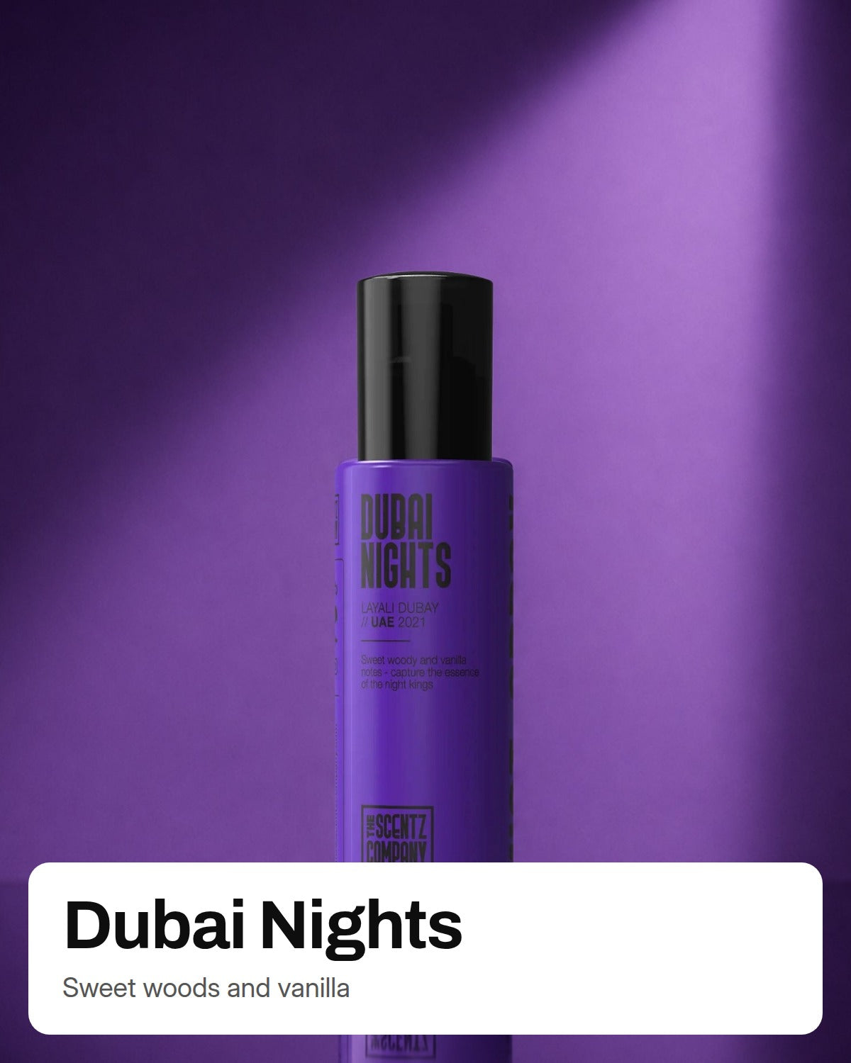 Dubai Nights