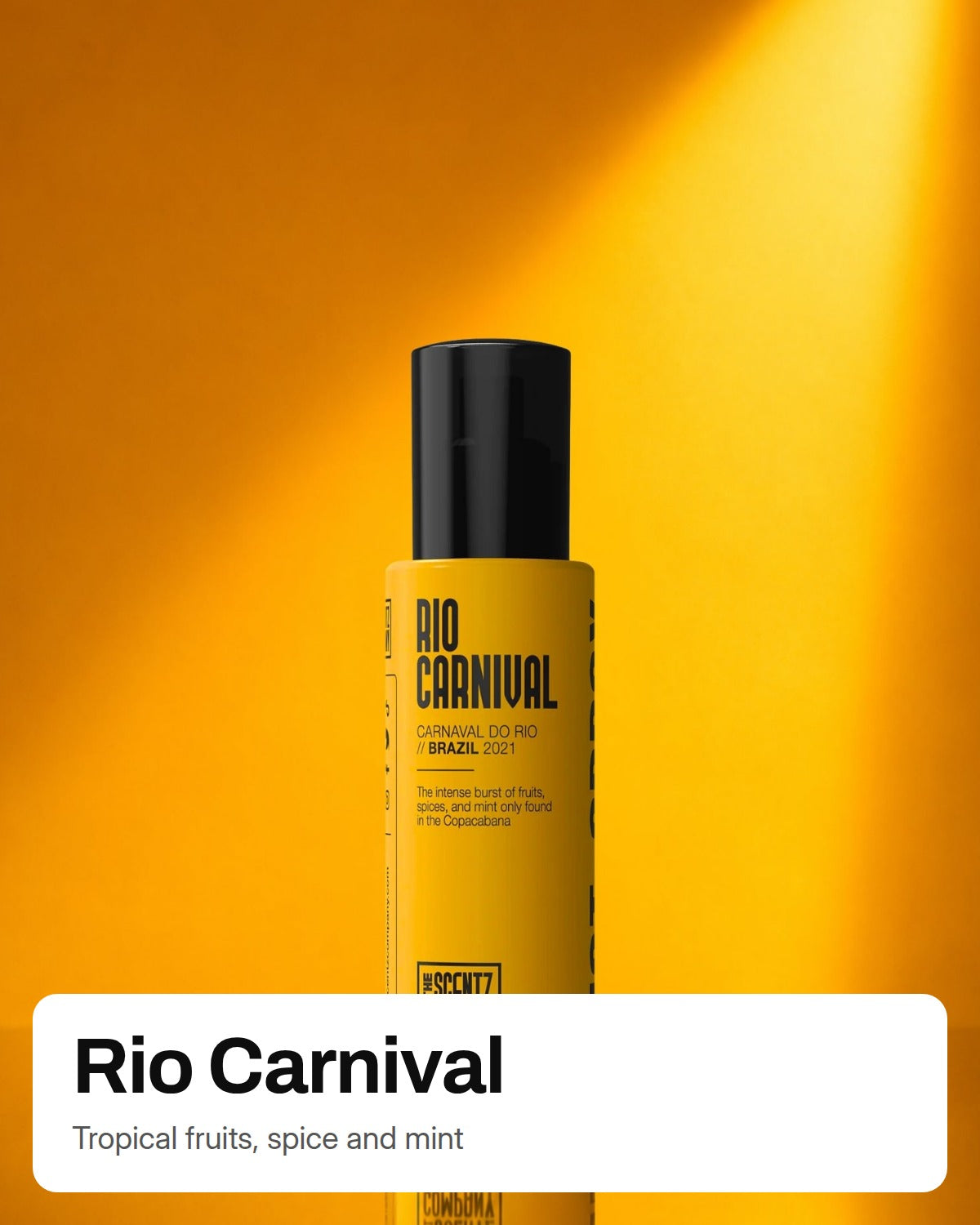 Rio Carnival
